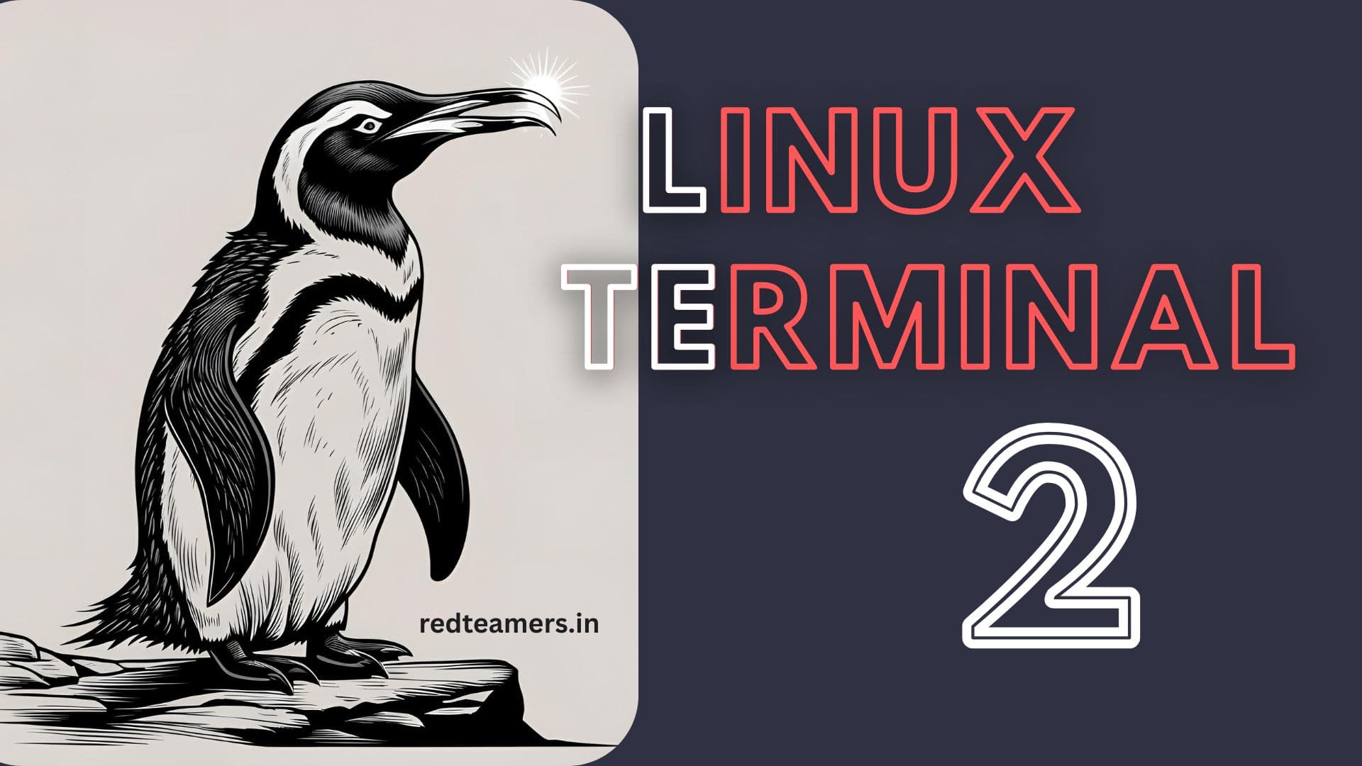 Working with Terminal in Linux - Part 2