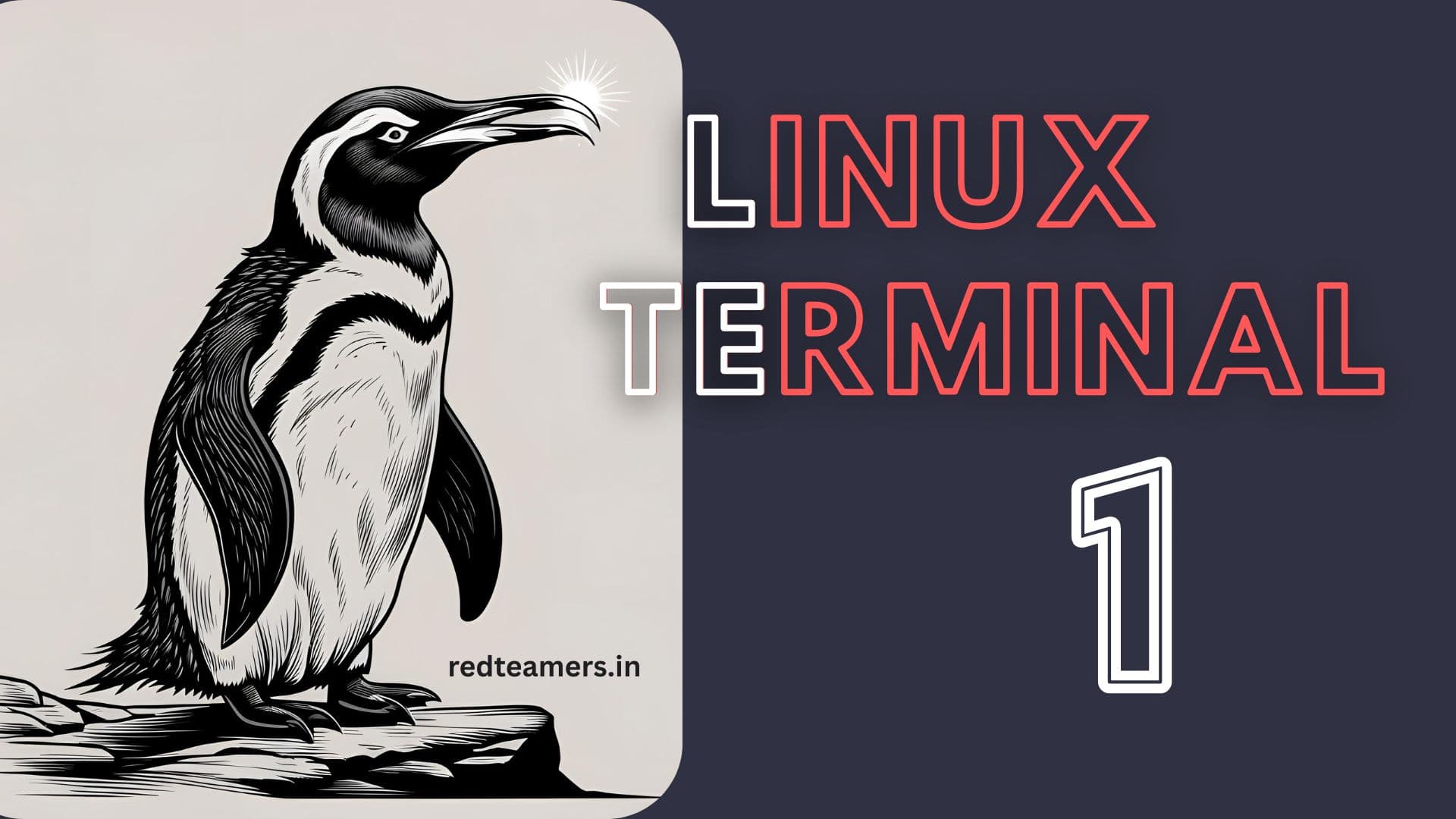 Working with Terminal in Linux - Part 1